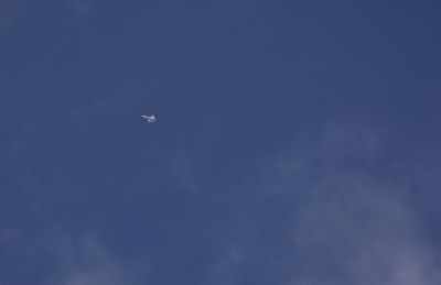 DSC_4010_01.JPG