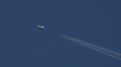 DSC_4445_01.JPG