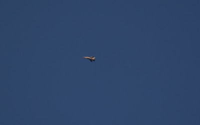 DSC_4479_01.JPG