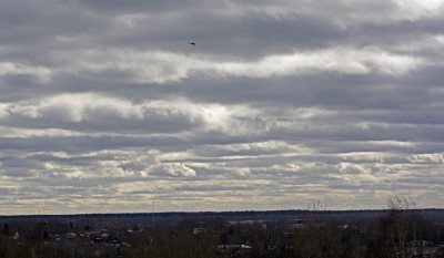 DSC_48231_01.JPG
