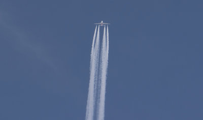 DSC_5438_01.JPG