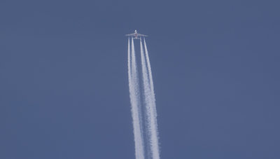 DSC_5417.jpg