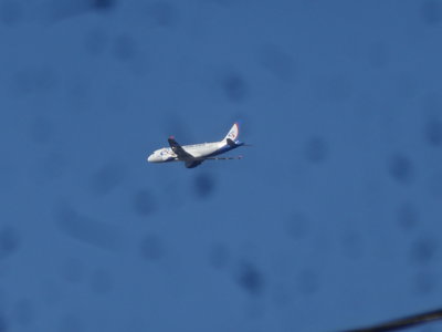 DSC00451.JPG