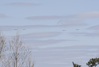 DSC_6104_01.JPG