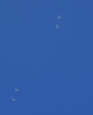 DSC_6141_01.JPG
