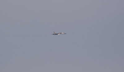 DSC_6151_01.JPG