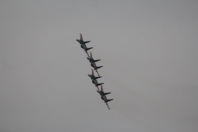 IMG_1000.jpg