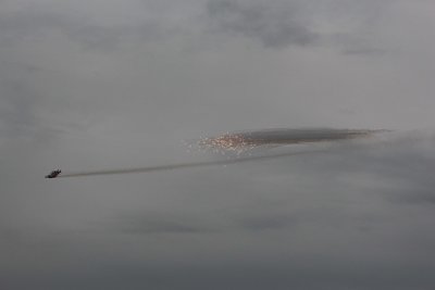 IMG_1307.jpg