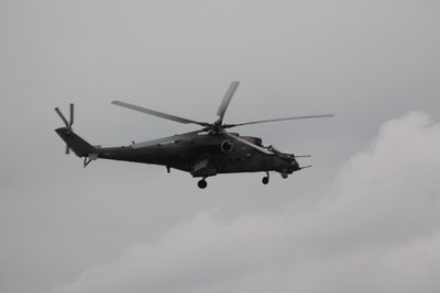 IMG_1278.jpg