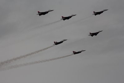 IMG_1490.jpg
