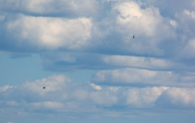 DSC_8074_01.JPG