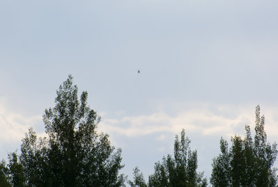 DSC_8151_01.JPG