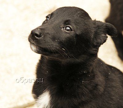 IMG_0395_hf...jpg