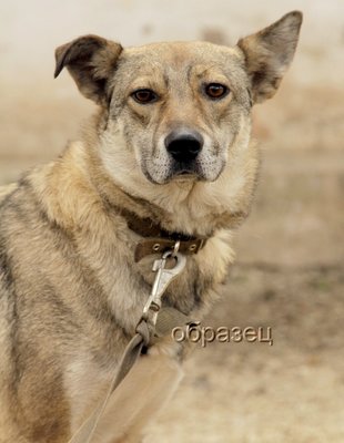 IMG_0404_hf.jpg