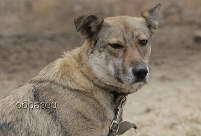 IMG_0408_hf.jpg