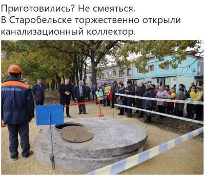 колл.jpg
