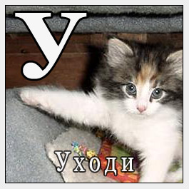 w9i4xi.jpg