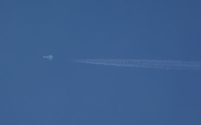 DSC_0563_01.JPG