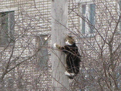 IMG_0199.JPG