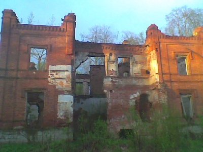 x_16df35f9.jpg