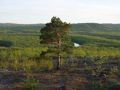 DSC01184.JPG