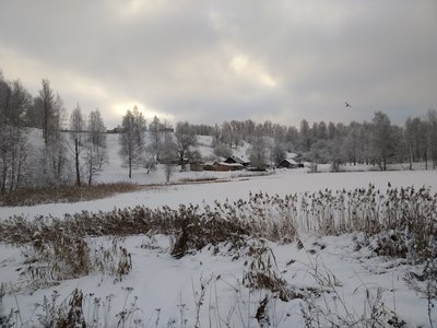 2019 01 03 Хутор в городе_1.jpg