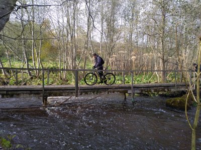 P91005-142129.jpg