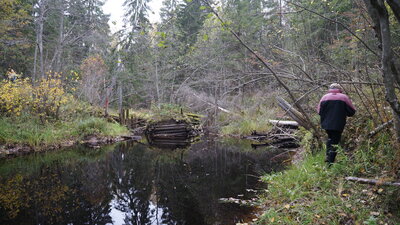 DSC01833.JPG