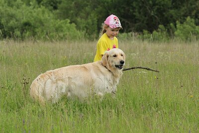 IMG_3366.JPG
