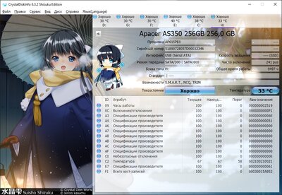Apacer_Panther_256GB.jpg
