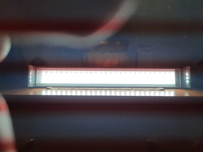 T40mnjlDzZN7AJBMxRz8Eiboe3AAoEpPbYxixDJJgeyPt0HUVtAUtPtZysEZzXj1jCPon2AgtWe5WnW0vu4nYH52.jpg