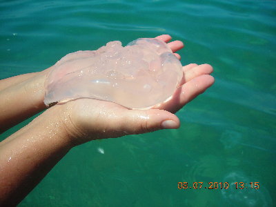 DSCN3898.JPG