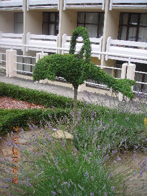 DSCN4291.JPG