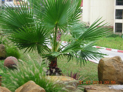 DSCN4300.JPG