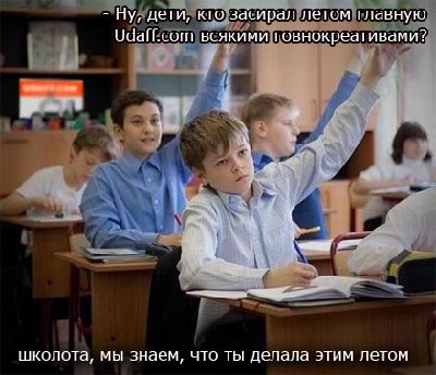 137380.jpg