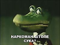 .jpg