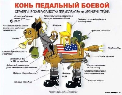 888_1256593790_7.jpg