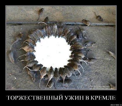 ychucu29pe92.jpg