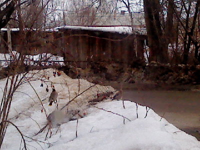 DSC00062.JPG