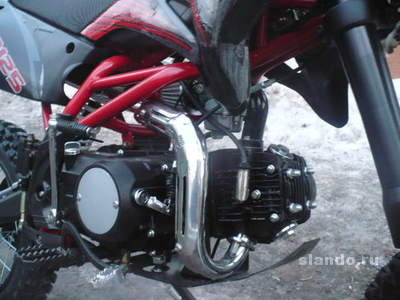 prodayu-pitbayk_32866726_5_F.jpg