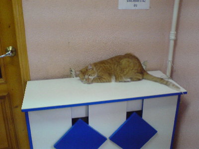 DSC00016.JPG