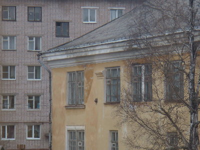 P2210004.JPG