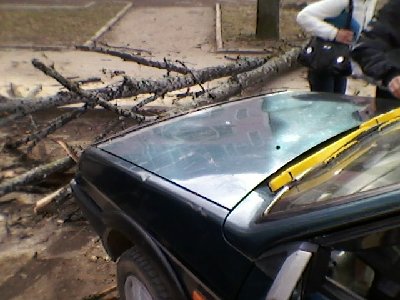 SP_A0019.jpg
