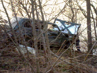 25042011196.jpg