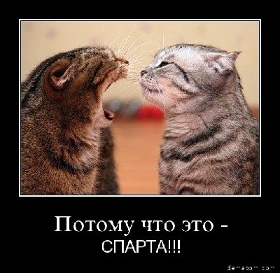 13994-potomu_chto_eto_sparta.jpg