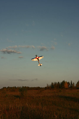 IMG_9021.jpg