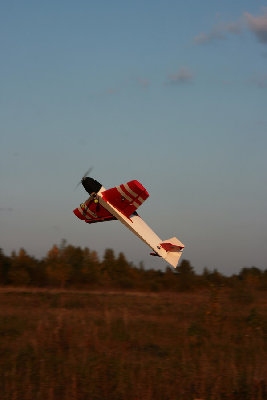 IMG_9031.jpg