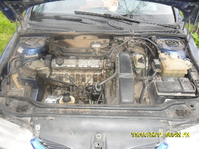 SAM_0244.JPG