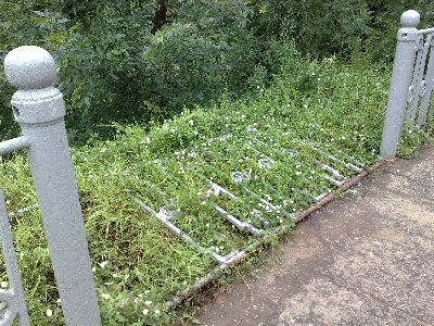 31072011148.jpg