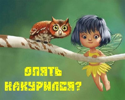 36_pics_ziza.jpg